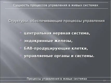 Принцип живого