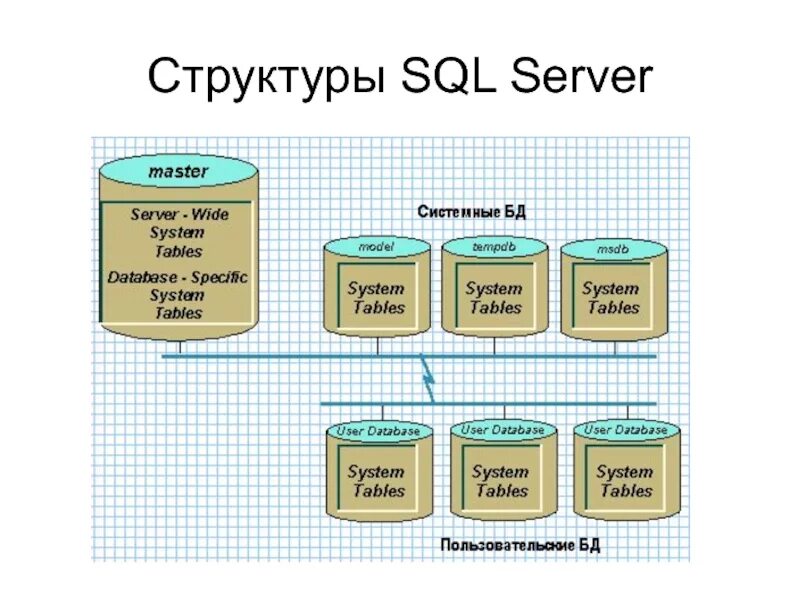 Управление sql базами. Структура базы данных SQL. Структура базы данных MYSQL. SQL Server структура БД. СУБД Microsoft SQL Server база данных.
