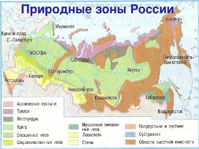 Природные зоны россии сочи