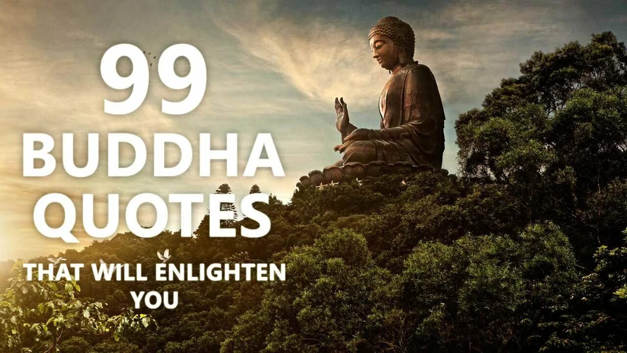 Тест будды. Будда обои. Buddha quotes. Здесь и сейчас Будда.