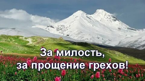 Животный мир высотной поясности