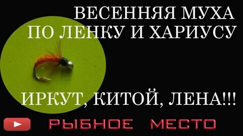 Ленка муха