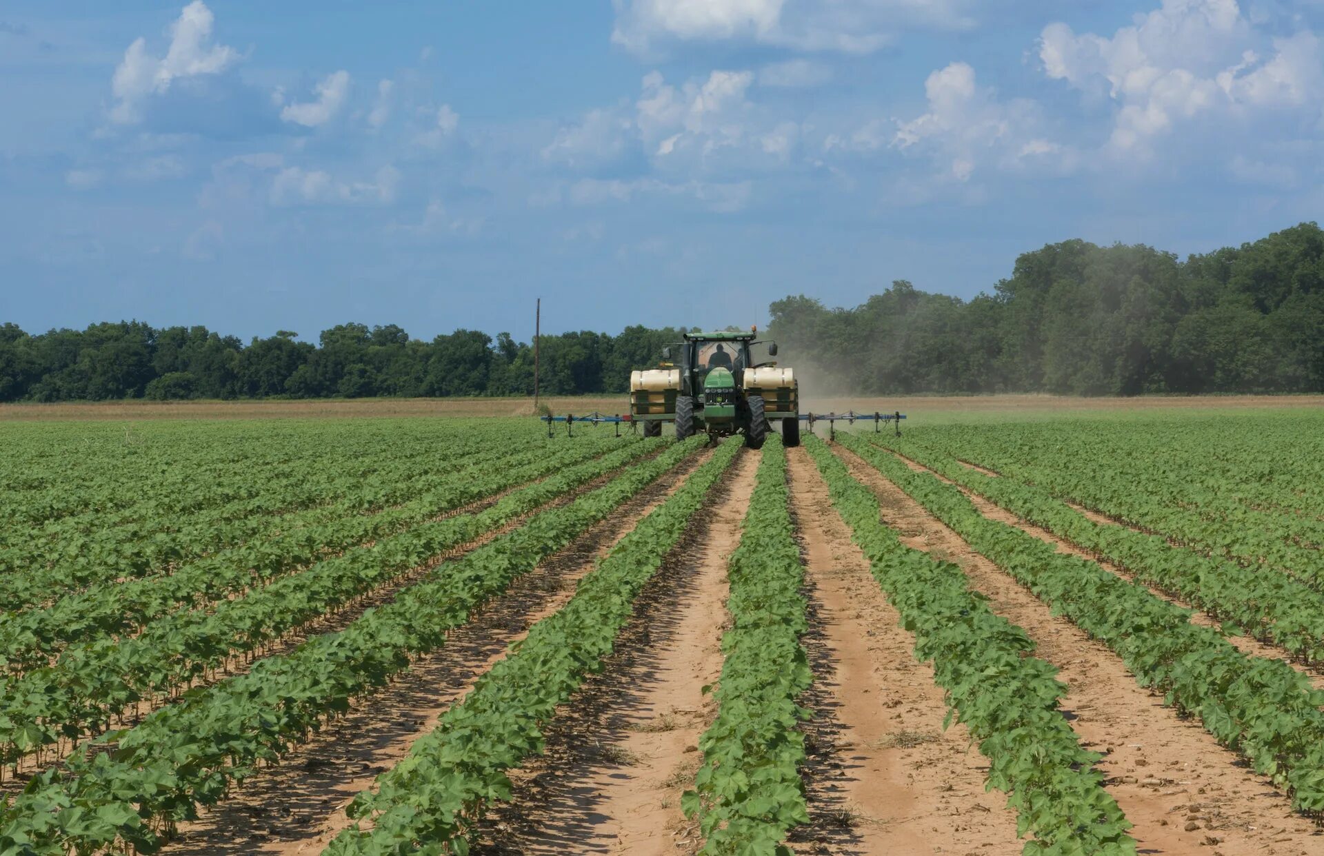 Row fields