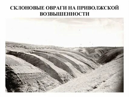 Книга овраги