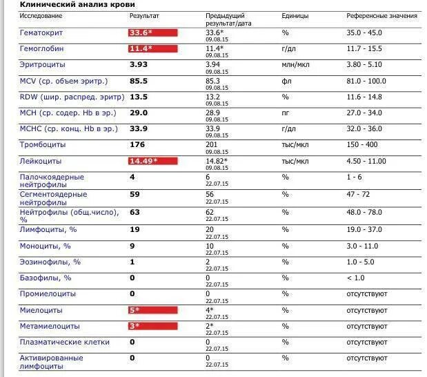 Показатели железа в анализе крови норма. Анализ крови железо норма. Анализ крови показатели нормы гематокрит. Гемоглобин ферритин железо показатели нормы.