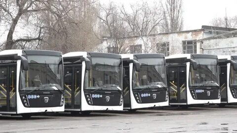 Автобус северная город