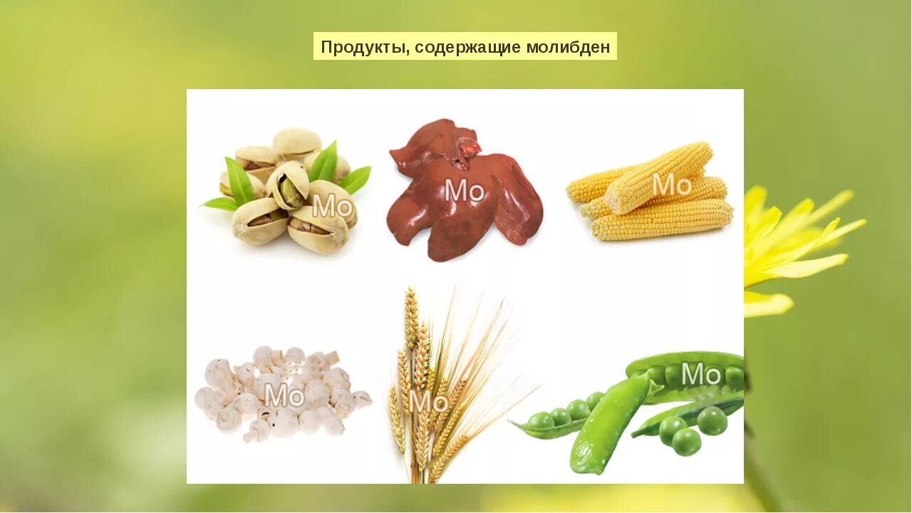 Содержание молибдена