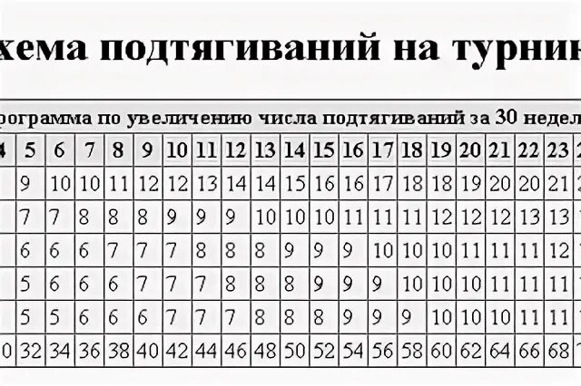 Турник раз в неделю