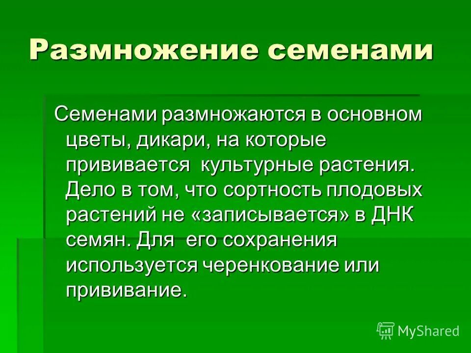 С помощью семян размножаются