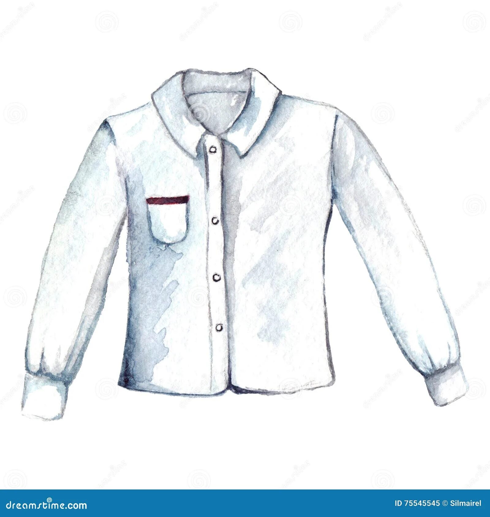 Акварельные принты в одежде. Футболка с ветками. Футболка с принтом акварель. Футболка с акварельным принтом. Акварельный принт на футболке.