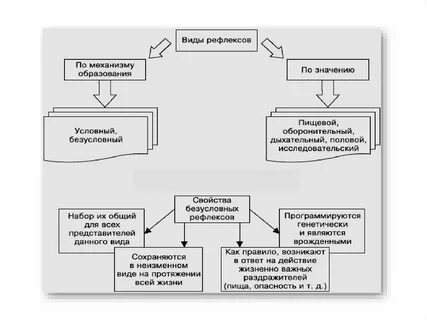 Условные и безусловные рефлексы высшая нервная деятельность