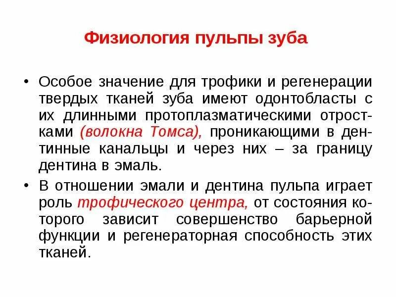 Функции пульпы зуба. Строение и функции пульпы зуба. физиология пульпы. физиология пульпы зуба.