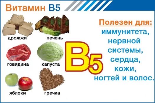 В5 для чего нужен организму. Пантотеновая кислота в5 источники. Витамин в5 где содержится. Витамин b5 пантотеновая кислота. Пантотеновая кислота (витамин b5) в продуктах.