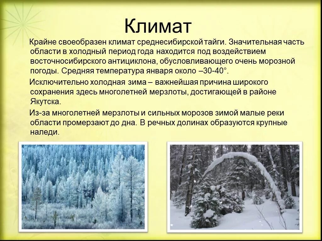 Какой климат в природной зоне тайга. Климат тайги. Климат тайги климат тайги. Климатические условия тайги. Климат в тайге зимой.