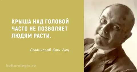 Мысли ежи леца