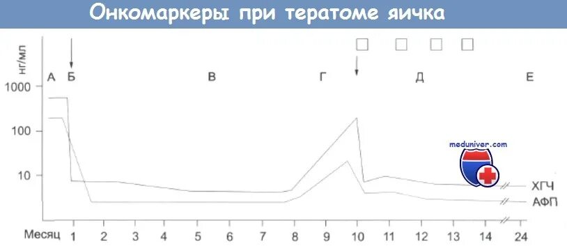 Онкомаркеры яичка. Онкомаркеры опухоли яичка. Онкомаркеры яичка у мужчин. Онкомаркеры приопухоле яичка. Опухоль яичка маркеры сыворотки.