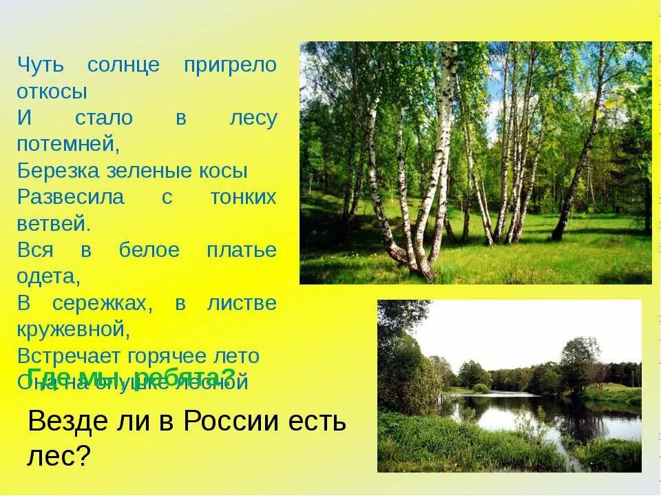 Пригревает солнышко наступили теплые. Чуть солнце пригрело. Чуть солнце пригрело откосы. Стих берёза чуть солнце пригрело откосы. Солнце пригрело стих.