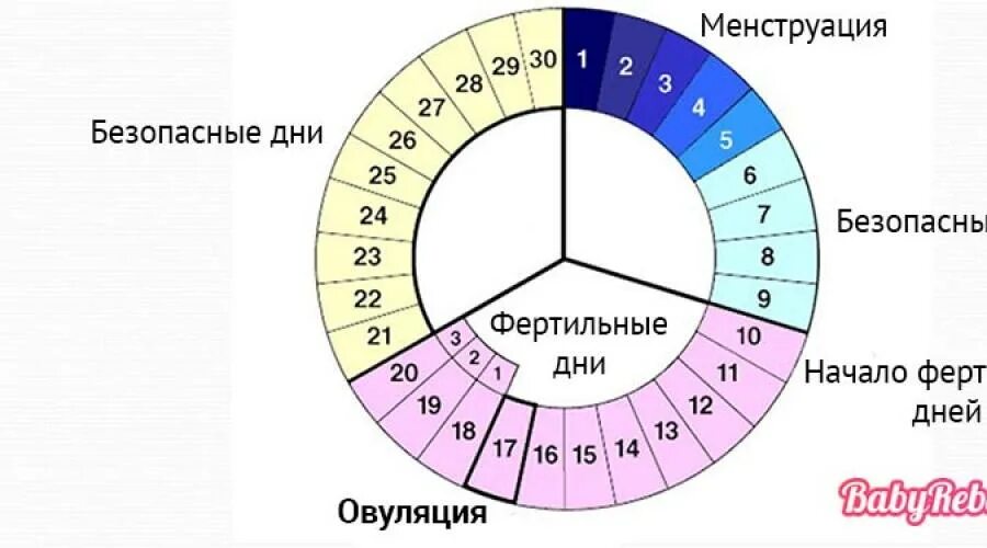 Менструационный цикл после 40 лет