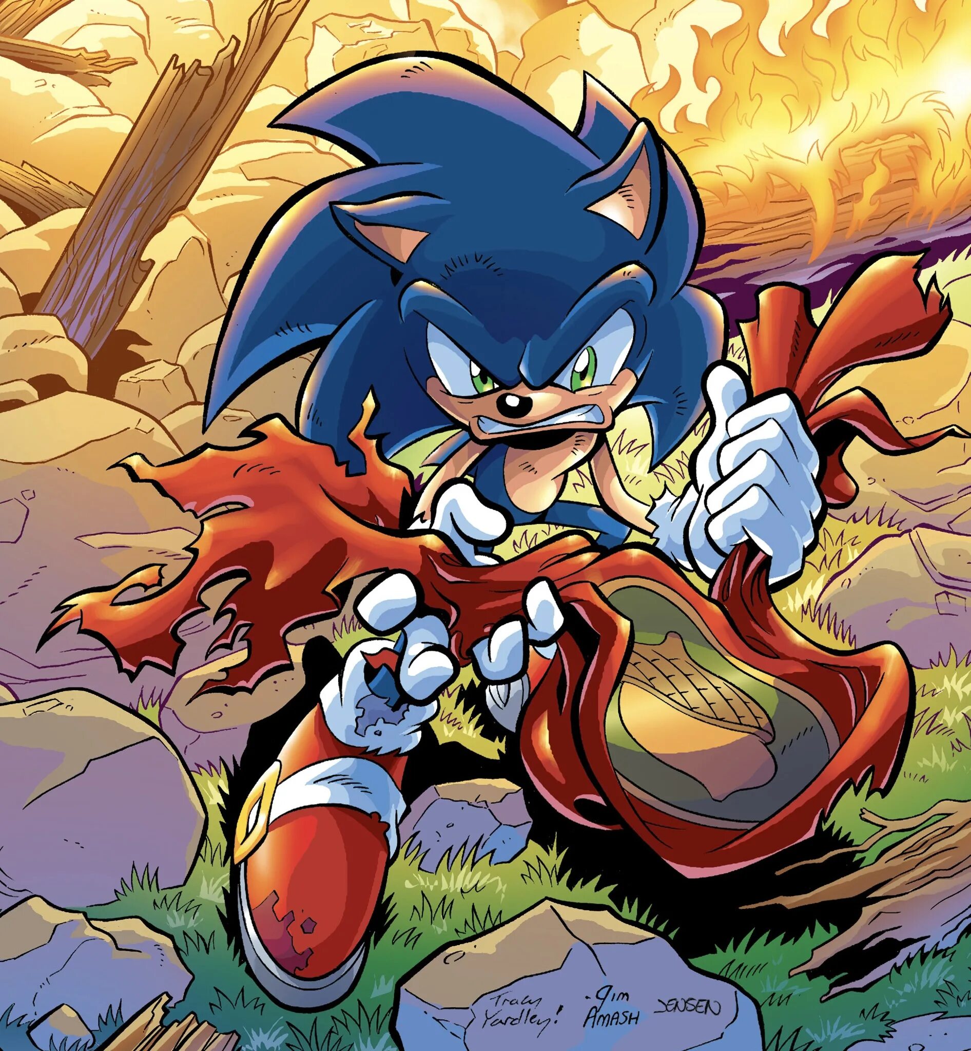 Арчи Соник. Sonic the Hedgehog Арчи. Archie Sonic vs IDW Sonic. Соник комикс.