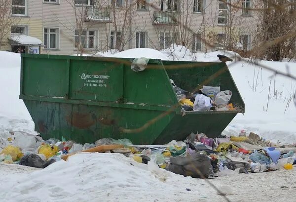 Бердск ТБО. Роется в мусорном контейнере. Открытая мусорка