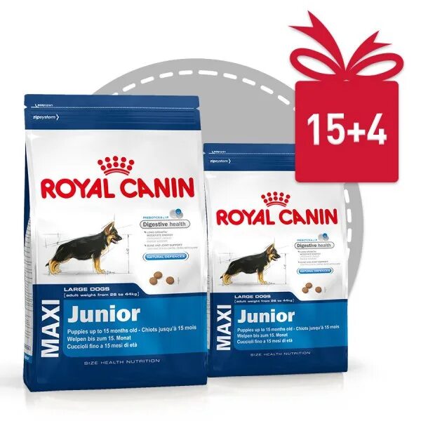 Maxi junior. Роял Канин Maxi Junior. Royal Canin Junior Maxi. Роял Канин для щенков макси Юниор. Роял Канин макси Джуниор для щенков.