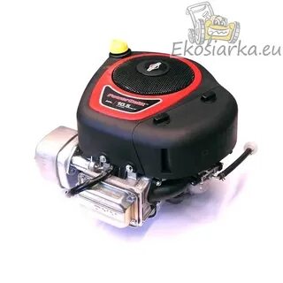 Briggs stratton 10 л с