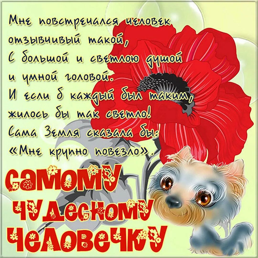 Какая нибудь хорошая открытка. Поздравление хорошему человеку. пожелания хорошему человеку. открытка хорошему человеку. хорошие слова хорошему человеку.
