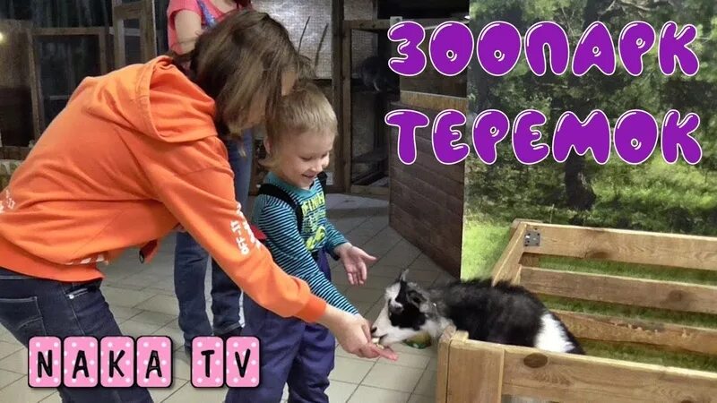 Ручной зоопарк тюмень сити молл. Контактный зоопарк теремок. Контактный зоопарк тюмень теремок. Контактный зоопарк нижний новгород теремок. Теремок", контактный зоопарк в тц "колумб", тюмень.
