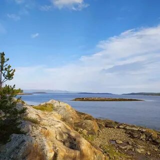 Золотого белого моря