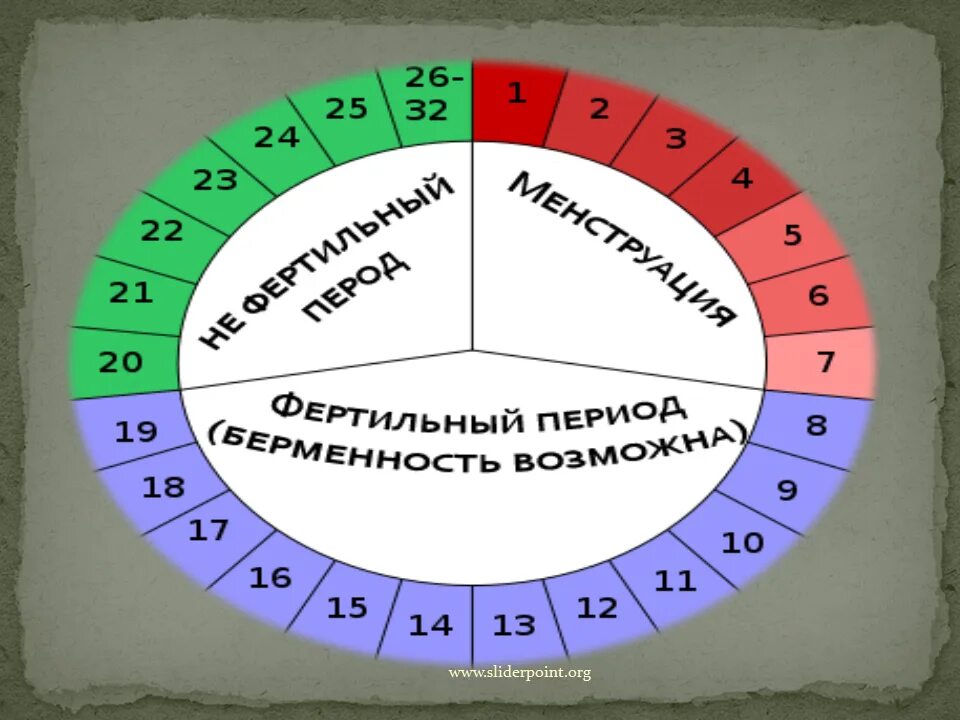 5 день цикла можно забеременеть. Колендарныйиетодконрацепции. Календарный метод предохранения. Способы контрацепции календарный метод. Фертильные дни.