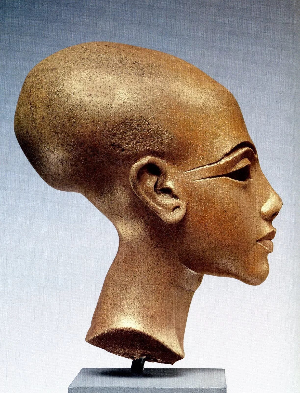 Почему голова вытянутая. Эхнатон и Нефертити. Череп фараона Эхнатона. Нефертити и Эхнатон черепа. Египет Эхнатон и Нефертити.