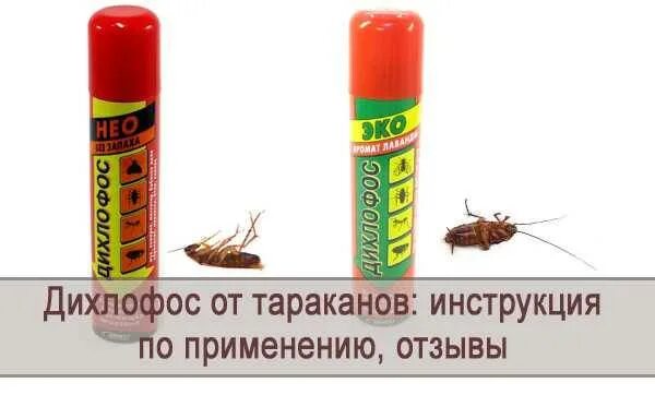 Можно ли обрабатывать от блох дихлофосом