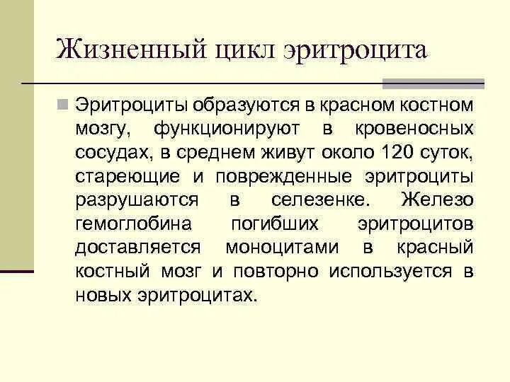 Причины разрушения эритроцитов. Гибель эритроцитов причины. цикл эритроцитов. гибель и разрушение эритроцитов. разрушение эритроцитов в селезенке.