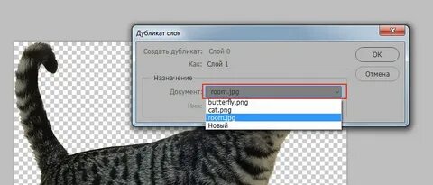 Как вставить пнг