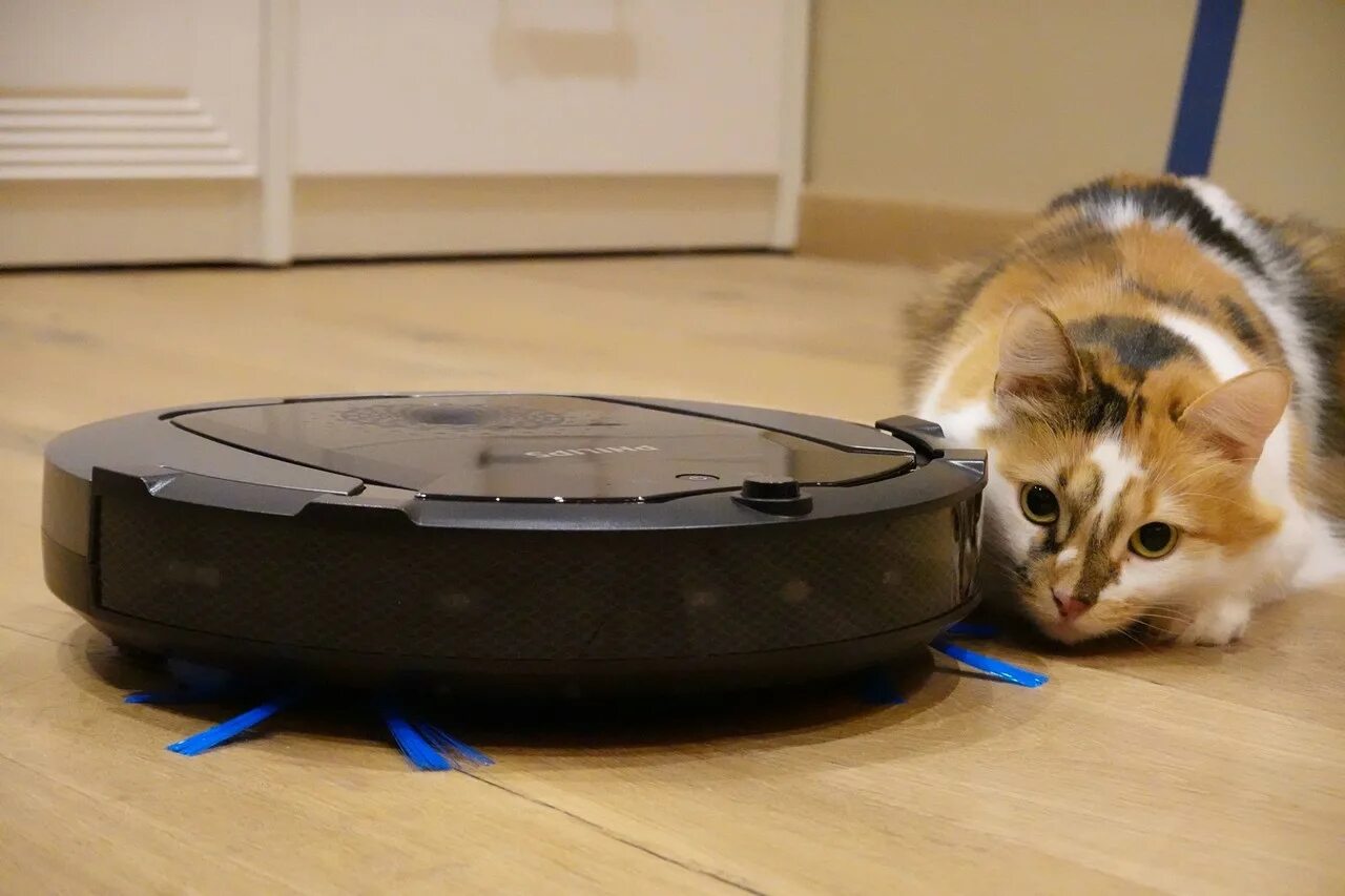 Интимные снимки. Пылесос следит. Девушка с роботом пылесосом. Пылесос roomba фотографирует. Пылесос следит.