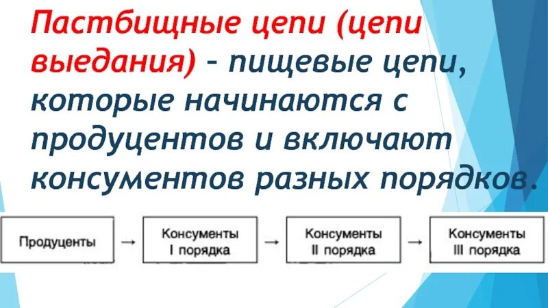 Пастбищная цепь питания. Цепь выедания. Пастбищная цепь. Детритная и пастбищная цепь. Пастбищные и детритные цепи питания.