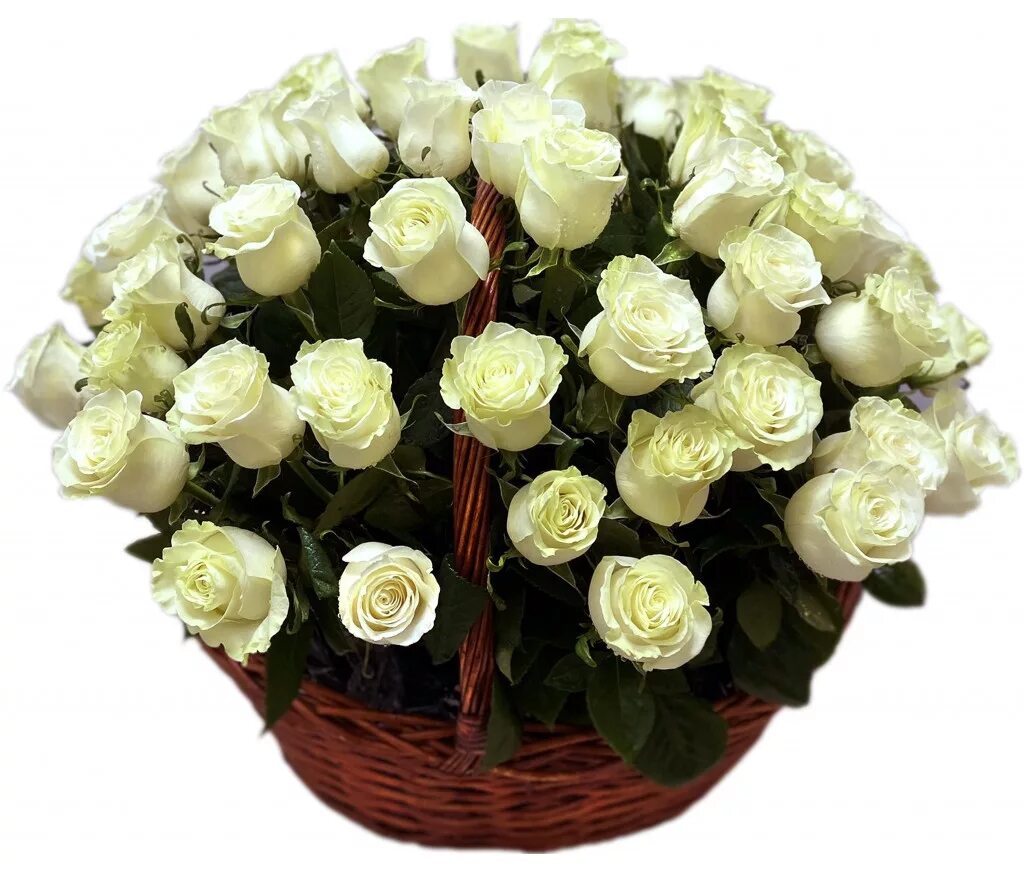 Белые розы в каком году написана. Траурные цветы. Белые цветы на белой простыне. Белые розы в каком году написана. Две белые розы.