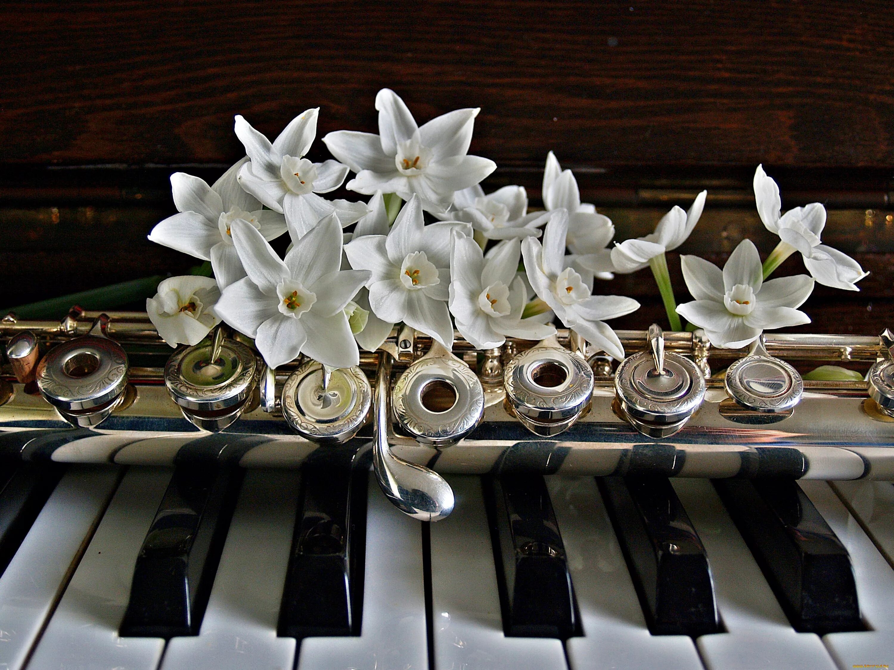 Музыкальные инструменты и цветы. Музыкальный букет цветов. Цветы для музыканта. Цветы на рояле. Красивая весенняя песня