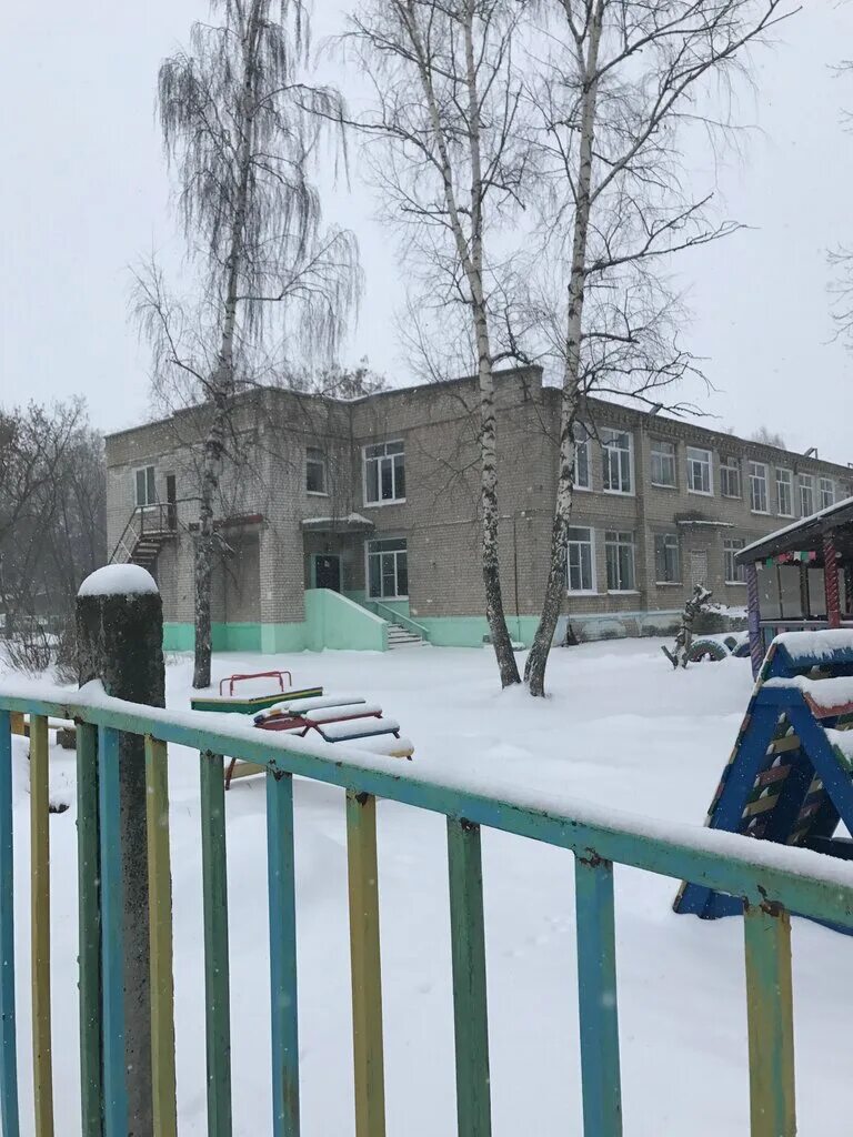 земляничка на полянке. земляника лесная кустик. клубника в удмуртии. мороза устойчивые лесные ягоды. земляничка бор.