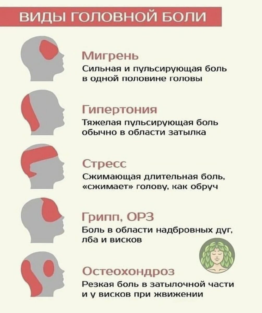 Подпись была, но её украли гномы.