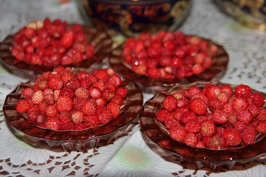 Коэн жилэге. Жир жилэге перевод на русский. Дикая лесная клубника. Полоника ягода. Коэн жилэге в лесу.