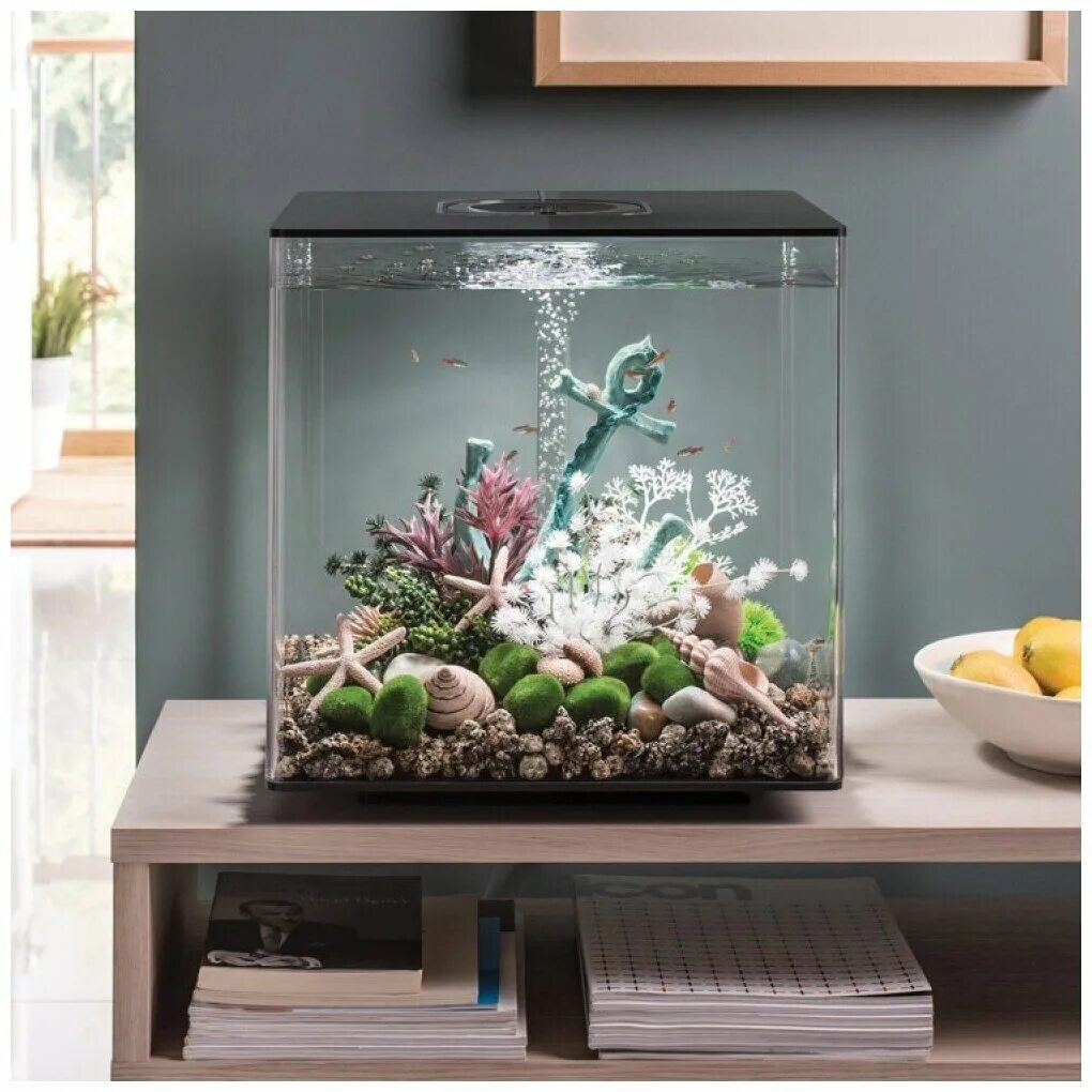 Аквапет. Аквариум атол 30 литров. Аквариум 50 литров размеры прямоугольный. Аквариум атолл прямоугольный с крышкой. Аквариум прямоугольный 85л 795.