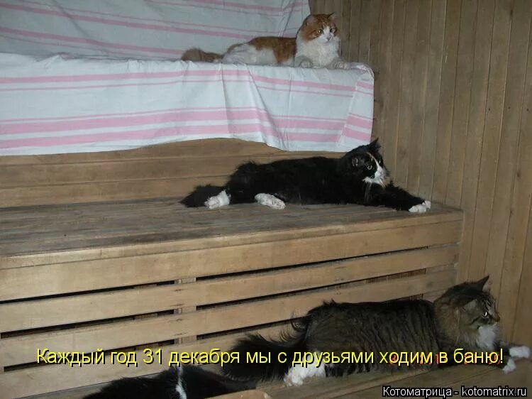 каждый год 31 декабря мы с друзьями ходим в баню. каждый год 31 декабря мы ходим в баню. каждый год мы идем в баню. каждый год мы идем в баню. каждый новый год мы с друзьями ходим в баню.