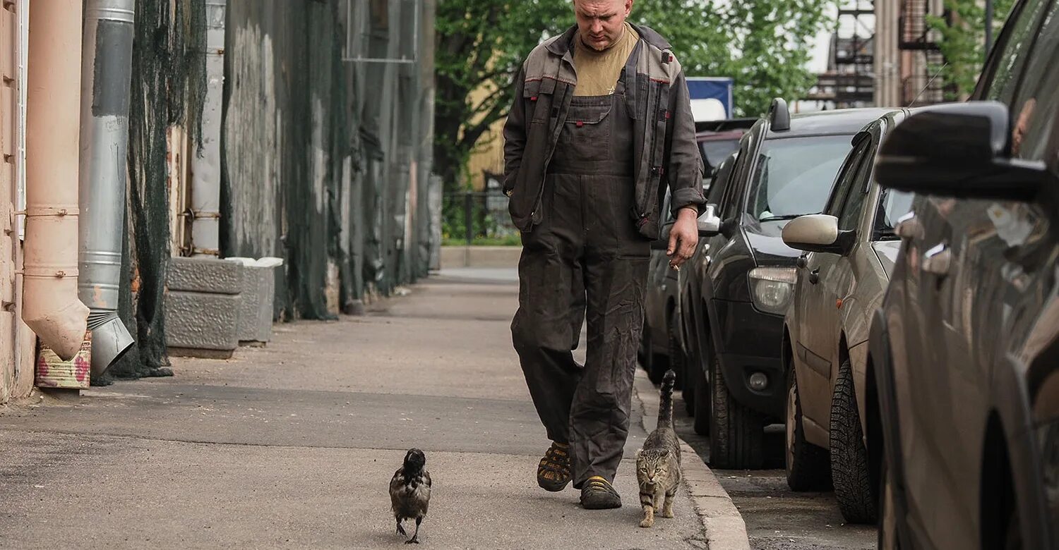 С Питере мужик ворона и кот. Человек гуляет с кошкой. Ворона кошка и человек идут на работу. Погулял мужик