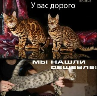 Дорогой ищущих 4