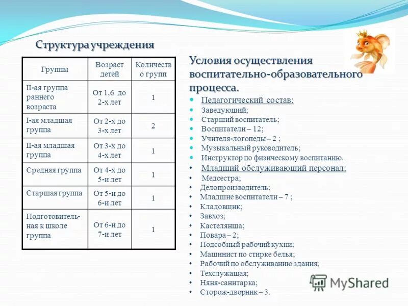 сколько групп возрастов