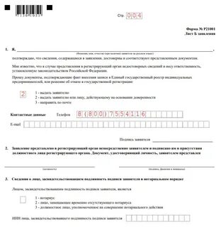 Решение регистрирующего органа