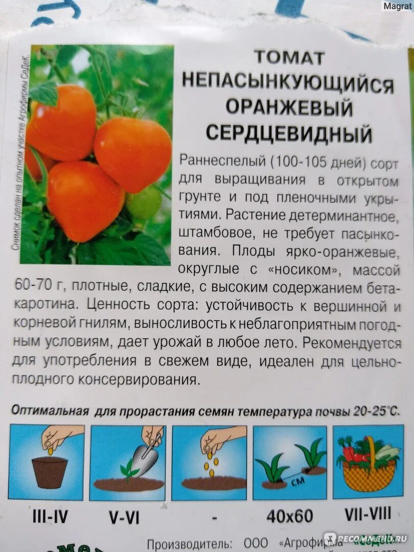 Томаты непас описание сорта. Томат непас 4 непасынкующийся оранжевый сердцевидный седек. семена томат оранжевый непас. томат непас 4 (непасынкующийся оранжевый сердцевидный) 0,1г седек. томат непас морковный.