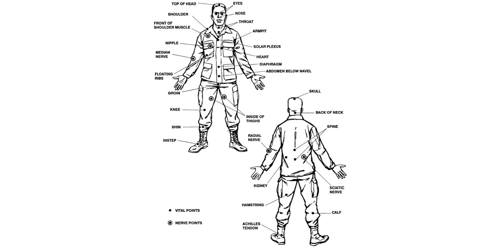 Болевые точки человека схема. Анатомия человека болевые точки схема. Ниндзюцу болевые точки. Болевые точки и уязвимые места на теле человека.