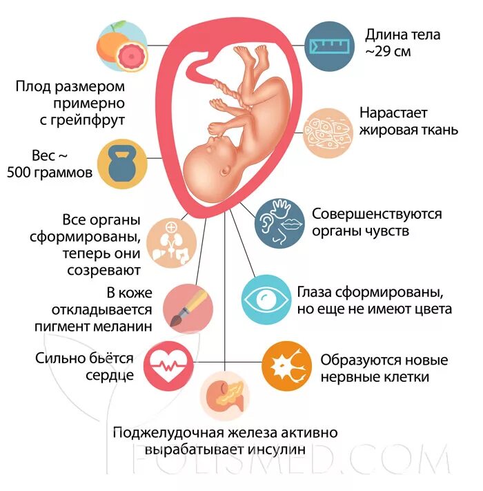 23 недели в часах